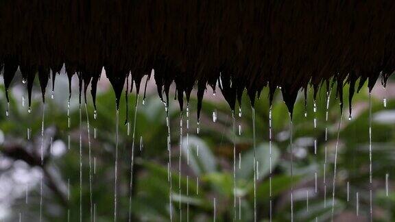 热带夏雨滴落在花园的稻草屋顶上印尼巴厘岛