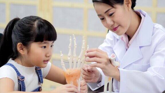 可爱的小女孩触摸一具骷髅同时试图和老师检查它是否真实教育的主题亚洲
