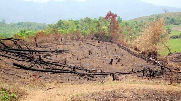森林砍伐森林火灾后自然灾害