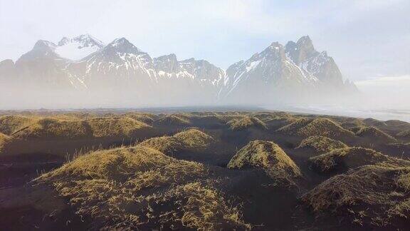 奇妙的场景斯托克斯内海角与维斯特拉霍恩(蝙蝠侠山)的背景夏季的冰岛羽扇豆花盛开4k无人机飞行以上镜头(超高清)