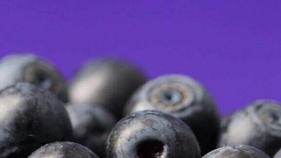 成熟新鲜的蓝莓浆果在深蓝色的背景下
