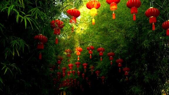 一排排传统中国风格的红灯笼挂在竹树隧道拱门上