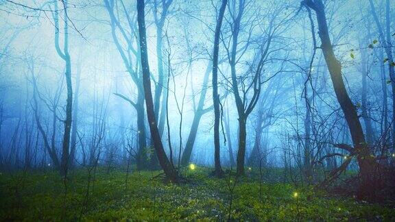 在雾蒙蒙的森林童话中神奇的萤火虫