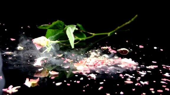 冻结的玫瑰落在桌上摔碎慢动作