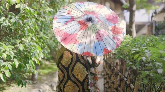 后视图Maiko(艺妓在训练)行走在京都园狭窄的小径