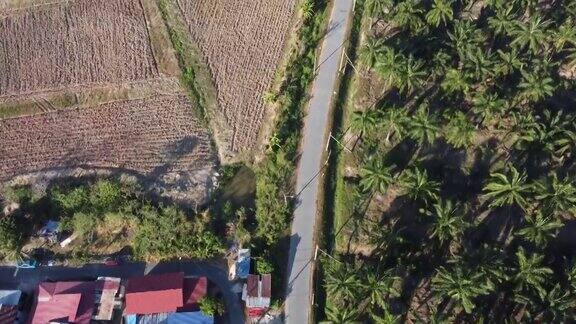 鸟瞰马来人村庄附近的乡村小路