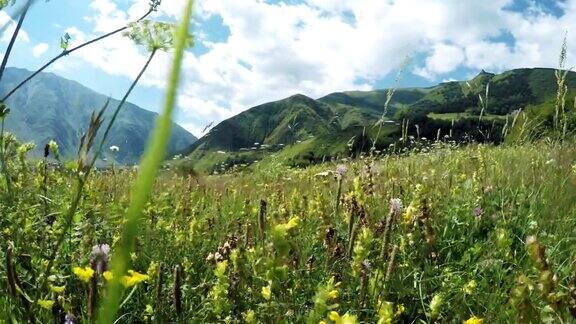 高山草甸小径