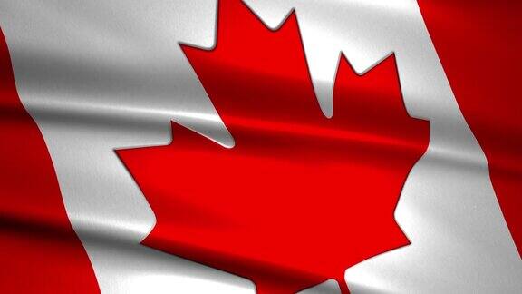 近距离挥舞加拿大国旗可循环