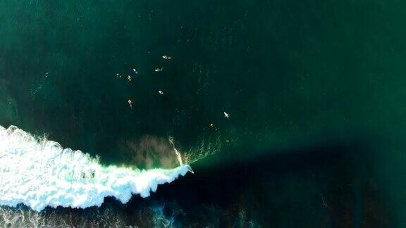 海浪和冲浪者的鸟瞰图前视图冲浪和海浪