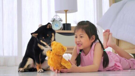 亚洲小女孩玩她的狗在家里