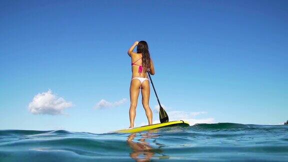 冲浪女孩站起来划桨在夏天的一天