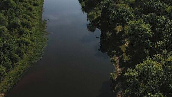 美丽宁静的河流在松林中飞过一条河和森林