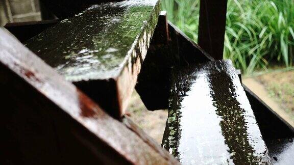 雨季4K雨落木勺