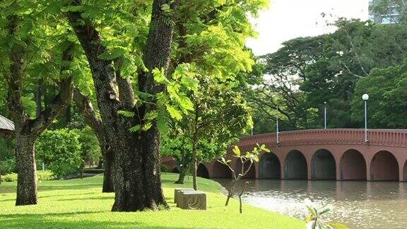城市公园里沿着运河的大树下美丽的绿色草地和石凳