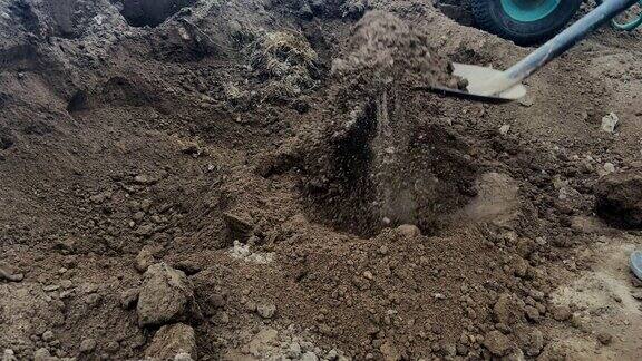 用铲子挖土工人用铲子挖地