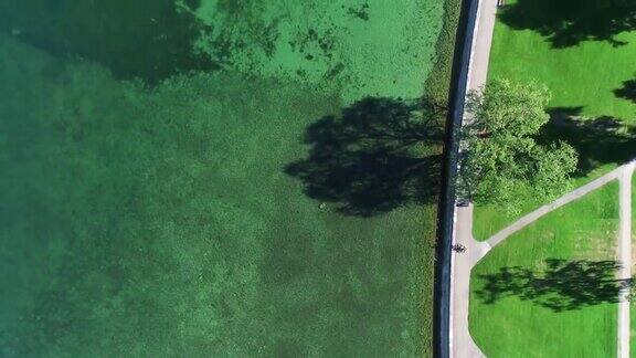 鸟瞰图的康斯坦斯湖岸线附近的阿尔本瑞士