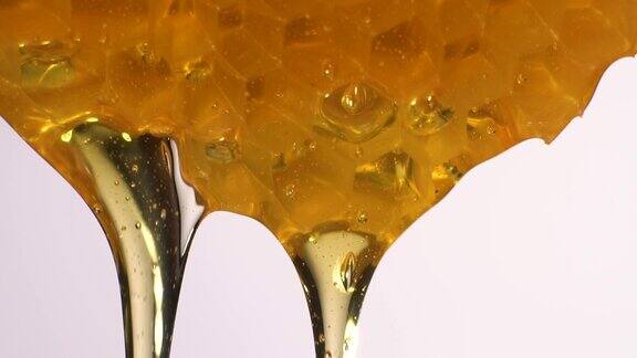 金黄色的蜂蜜从蜂巢中流出