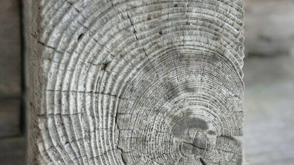 爱沙尼亚墙上木头的细节
