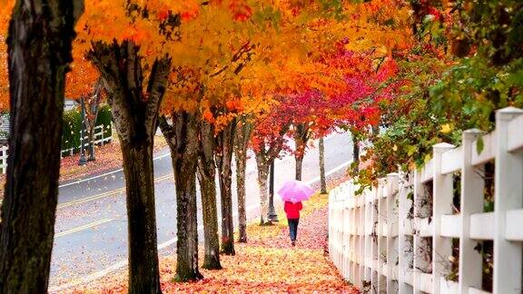 当秋叶飘落的时候年轻的女孩打着伞走在人行道上