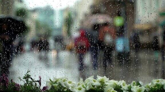 美丽的背景与透过窗户的风景与白花在雨天的城市街道雨滴落在窗玻璃上模糊的散景自然背景