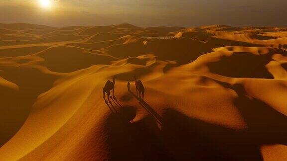带着2头骆驼俯瞰沙丘的绿洲4K