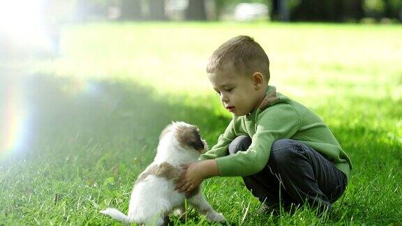 小男孩在公园里和小狗玩