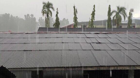 大雨