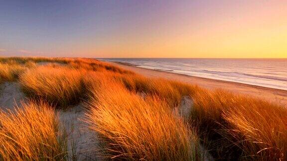 沙丘和海滩在日落的特塞尔岛荷兰