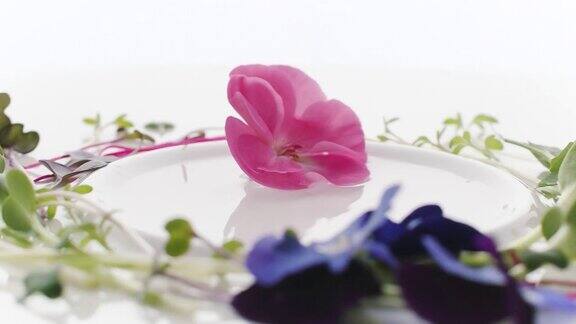 美丽的花朵粉红色和蓝色与微绿色自然现代惊人的组成