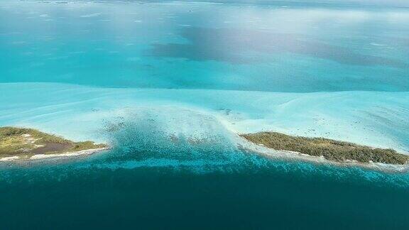 鸟瞰图热带红树林礁在加勒比海