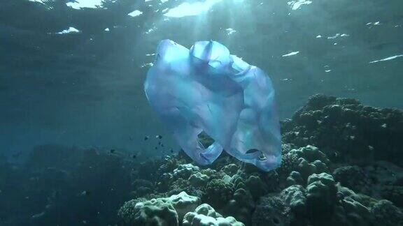 蓝色的塑料袋和鱼在阳光下的珊瑚礁上游泳塑料污染漂浮在一群月鱼附近塑料垃圾环境污染问题