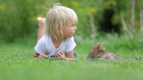 可爱的金发小孩可爱的小男孩在花园里和小猫玩耍读书