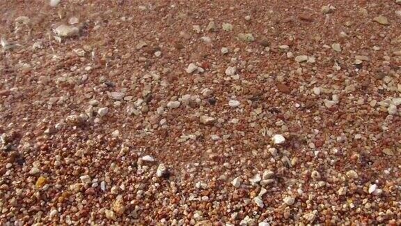 海洋里的五颜六色的小石头都是被潮水冲刷的