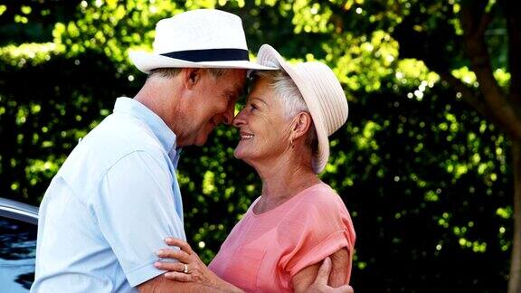一对浪漫的老年情侣在公园里看着对方