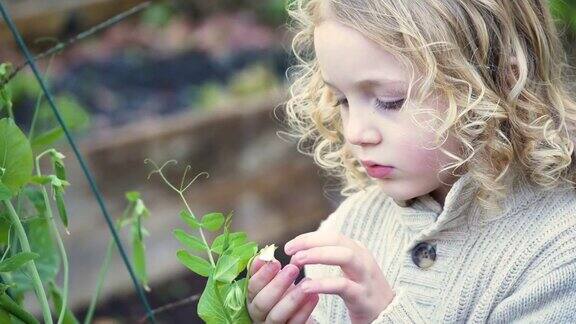 小女孩在社区花园看花