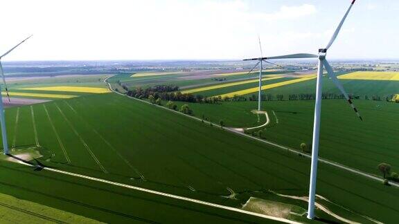 风力发电机旁边是盛开的油菜和小麦田