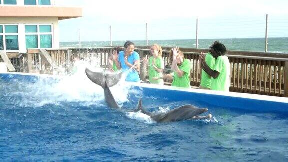 海豚在海洋教育公园表演花样溅水花