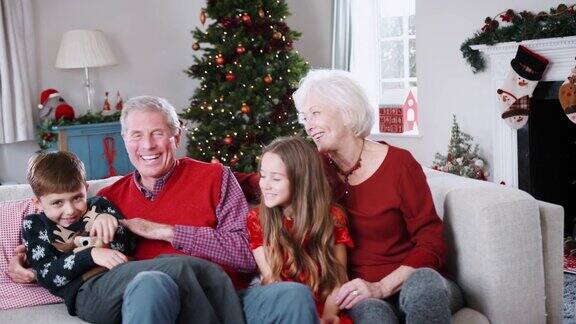 在圣诞节祖父母和孙子坐在家里休息室的沙发上的肖像
