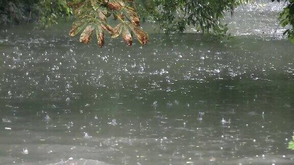 河在雨