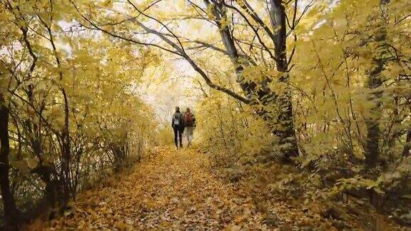 秋日里一对夫妇在树林里散步