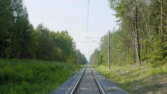 铁路在夏日的绿林中遥望远方