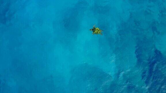 在毛伊岛海岸海龟在无人机有利位置下游泳