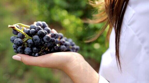 我手里拿着葡萄