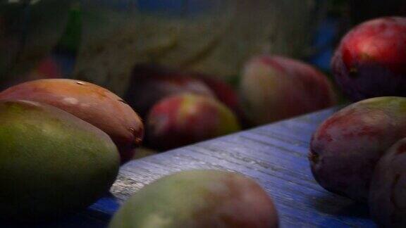 热带水果生产线上的芒果