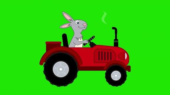 兔子是一名拖拉机手动画的红色拖拉机与兔子或野兔卡通拖拉机在绿色屏幕上移动农用车在路上行驶农业机械阿尔法通道4k复活节的设计