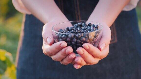 农夫拿着一碗蓝莓