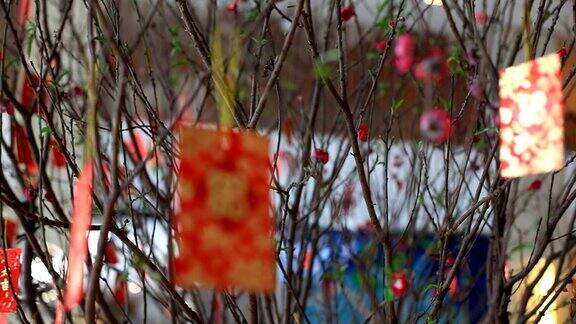 春节时红包挂在树上