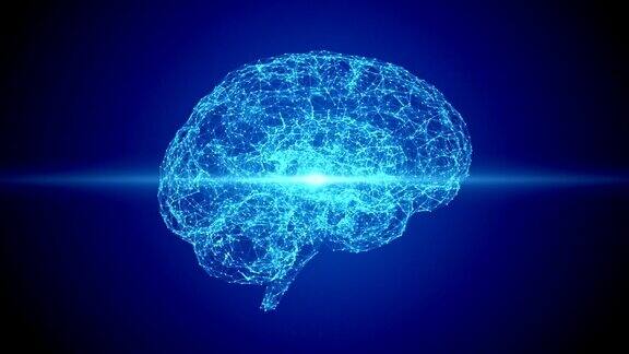 人类的大脑扫描