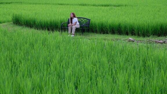 一位年轻女子坐着看着美丽的稻田和大自然的景色