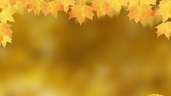 秋天的落叶和枫叶的文字Hello秋天上一个自然的背景